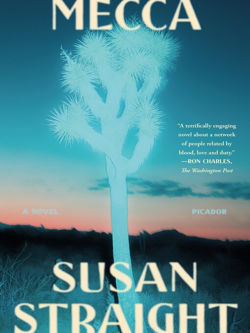 Title details for Mecca by Susan Straight - Available